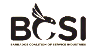 bcsi-logo